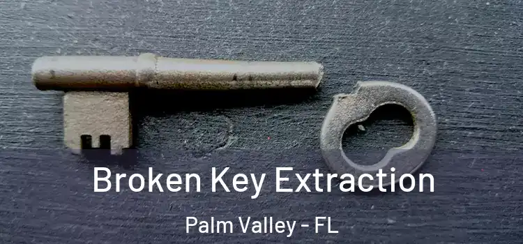  Broken Key Extraction Palm Valley - FL