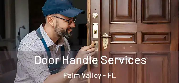  Door Handle Services Palm Valley - FL