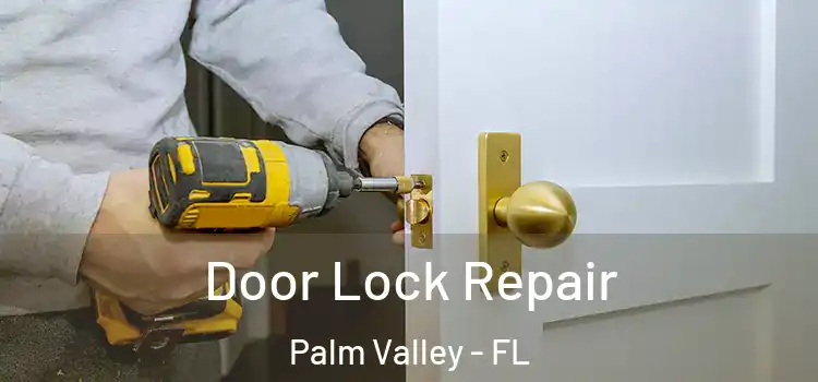 Door Lock Repair Palm Valley - FL