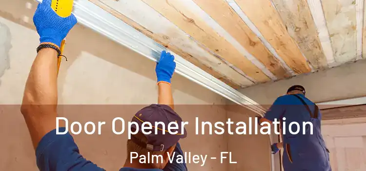  Door Opener Installation Palm Valley - FL