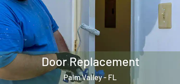 Door Replacement Palm Valley - FL