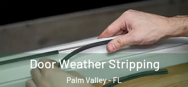  Door Weather Stripping Palm Valley - FL