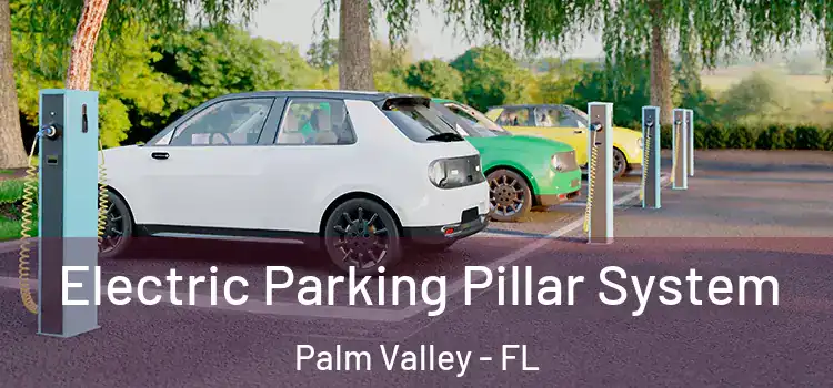 Electric Parking Pillar System Palm Valley - FL