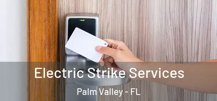  Electric Strike Services Palm Valley - FL