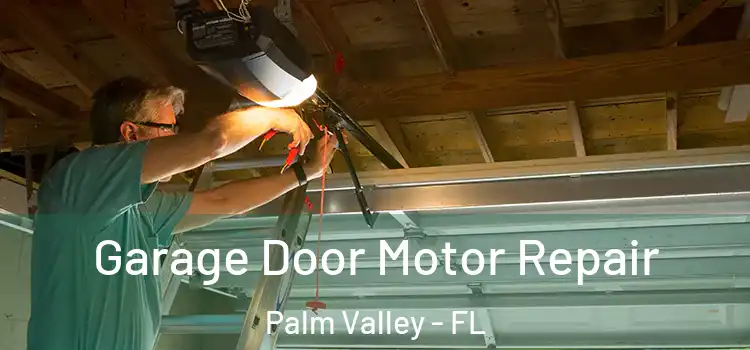  Garage Door Motor Repair Palm Valley - FL