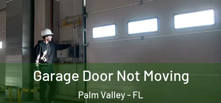  Garage Door Not Moving Palm Valley - FL