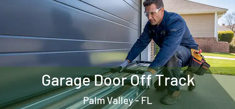  Garage Door Off Track Palm Valley - FL