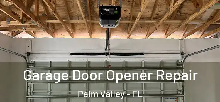  Garage Door Opener Repair Palm Valley - FL