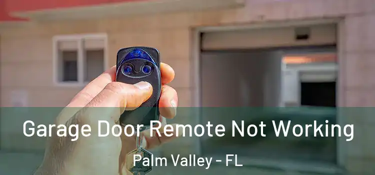  Garage Door Remote Not Working Palm Valley - FL