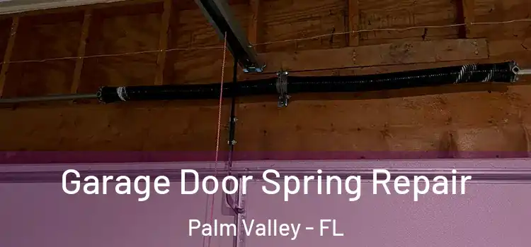  Garage Door Spring Repair Palm Valley - FL