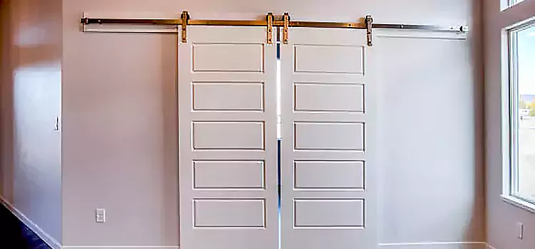 Glass Barn Door with Installation Hardware Kit Palm Valley