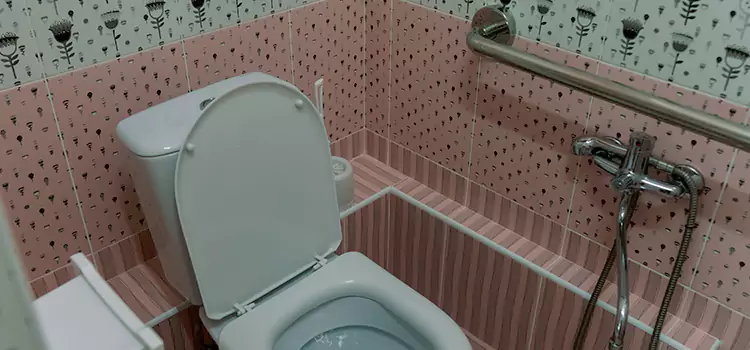 Meeting Diverse Needs With Accessible Restroom Solutions in Palm Valley, FL