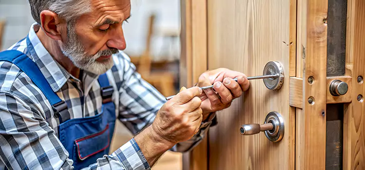 Mortise Replacement Lock Palm Valley