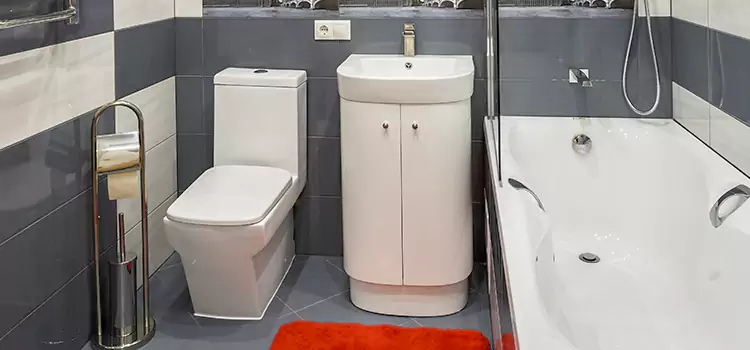 Hansgrohe Shaving Mirror Palm Valley