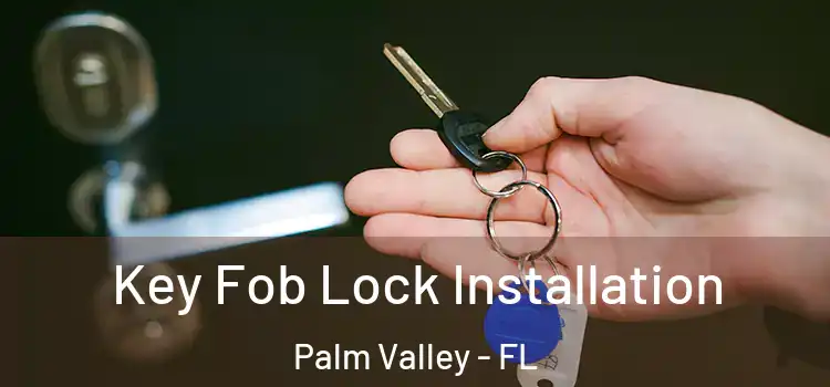  Key Fob Lock Installation Palm Valley - FL