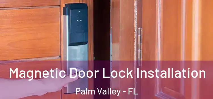  Magnetic Door Lock Installation Palm Valley - FL