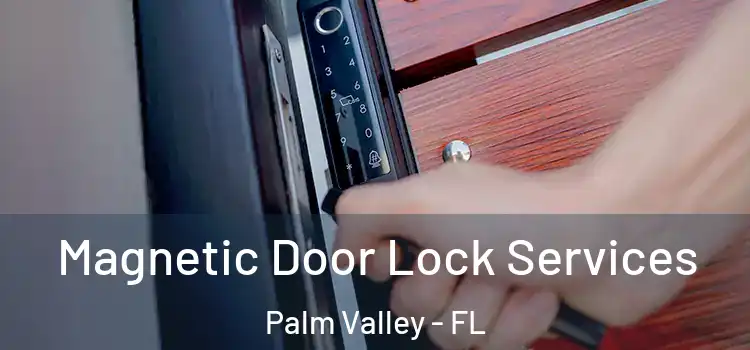  Magnetic Door Lock Services Palm Valley - FL