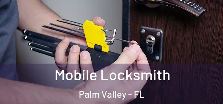  Mobile Locksmith Palm Valley - FL