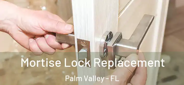  Mortise Lock Replacement Palm Valley - FL