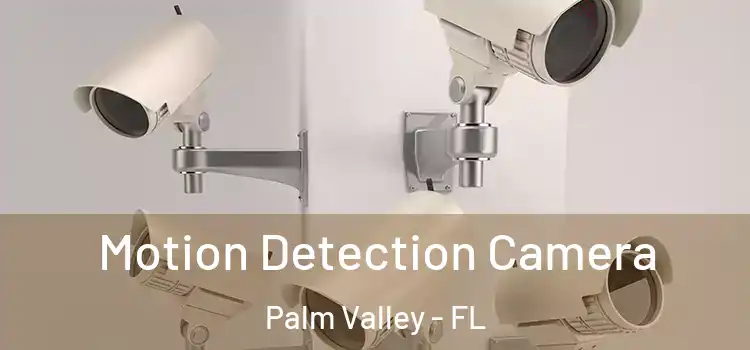  Motion Detection Camera Palm Valley - FL