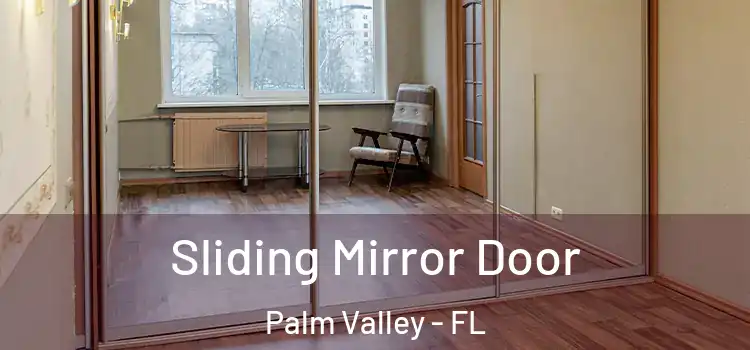  Sliding Mirror Door Palm Valley - FL