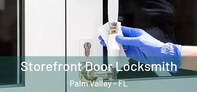  Storefront Door Locksmith Palm Valley - FL